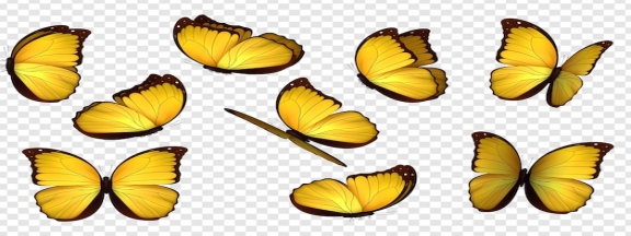 Бабочка желтого цвета. установите реалистичных изолированных бабочек.  насекомые lepidoptera morpho amathonte. векторная иллюстрация | Премиум  векторы